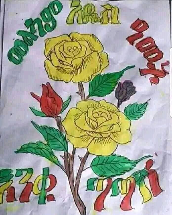 Adey Abeba flowers covering the Ethiopian highlands